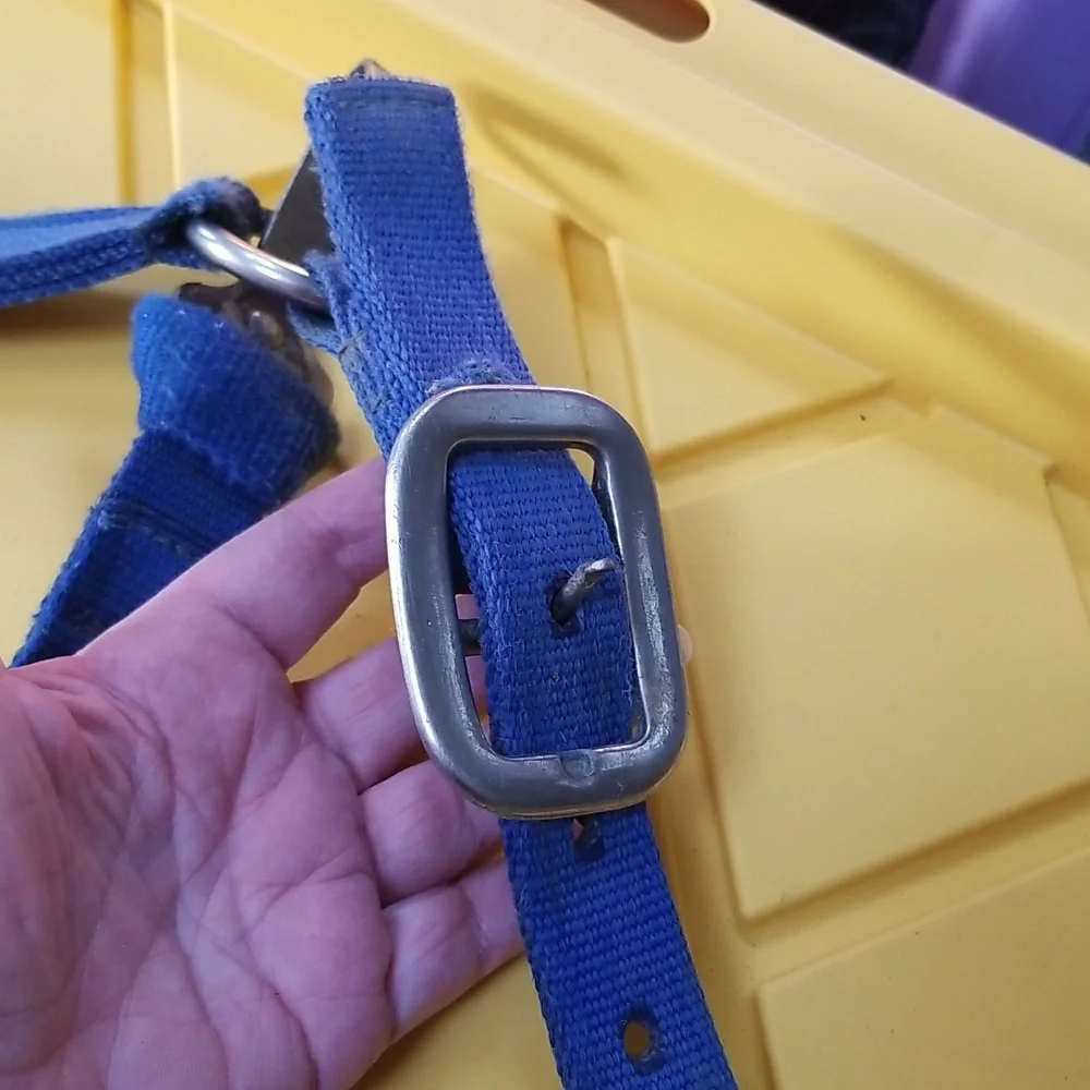 🐴ADJUSTABLE HORSE HALTER - Picture 3 of 8
